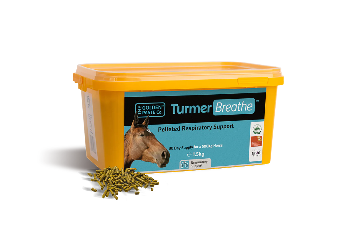 TurmerBreathe pellets close up for equine breathing health