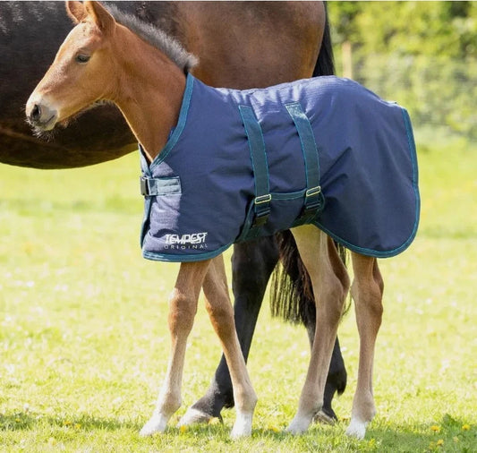 Shires Tempest Original 200G Foal Turnout Rug, 600Denier, Medium weight on Young Foal