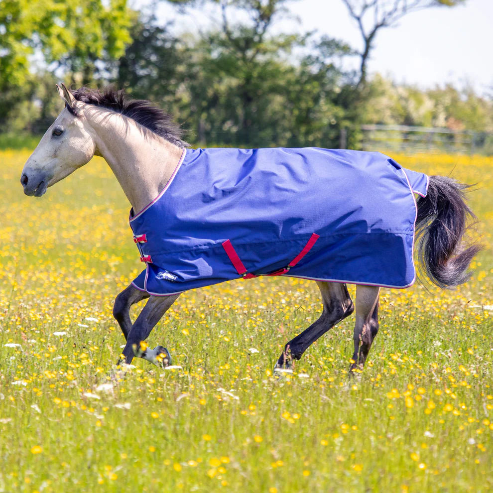 Tempest Original 100 Turnout Rug on horse
