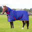Tempest Original 100 Turnout Rug with Neck on horse