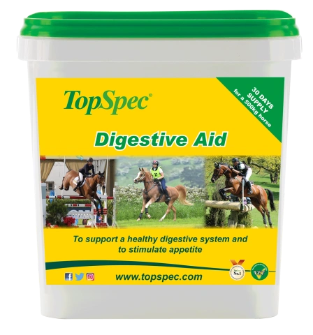 TopSpec Digestive Aid
