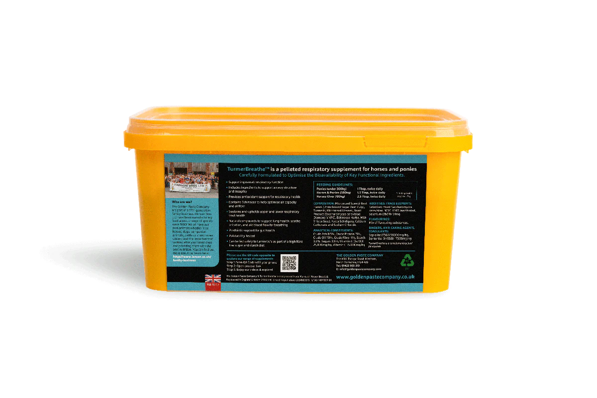 Golden Paste Company TurmerBreathe tub (back)