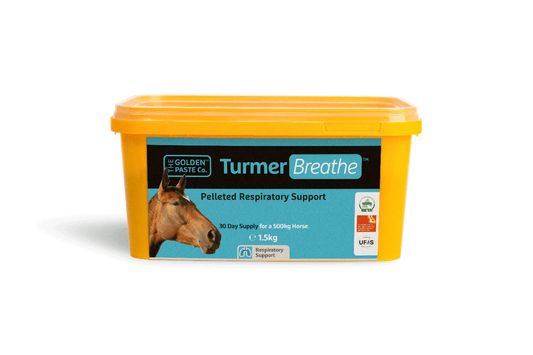 Golden Paste TurmerBreathe pellets 1.5kg horse respiratory supplement