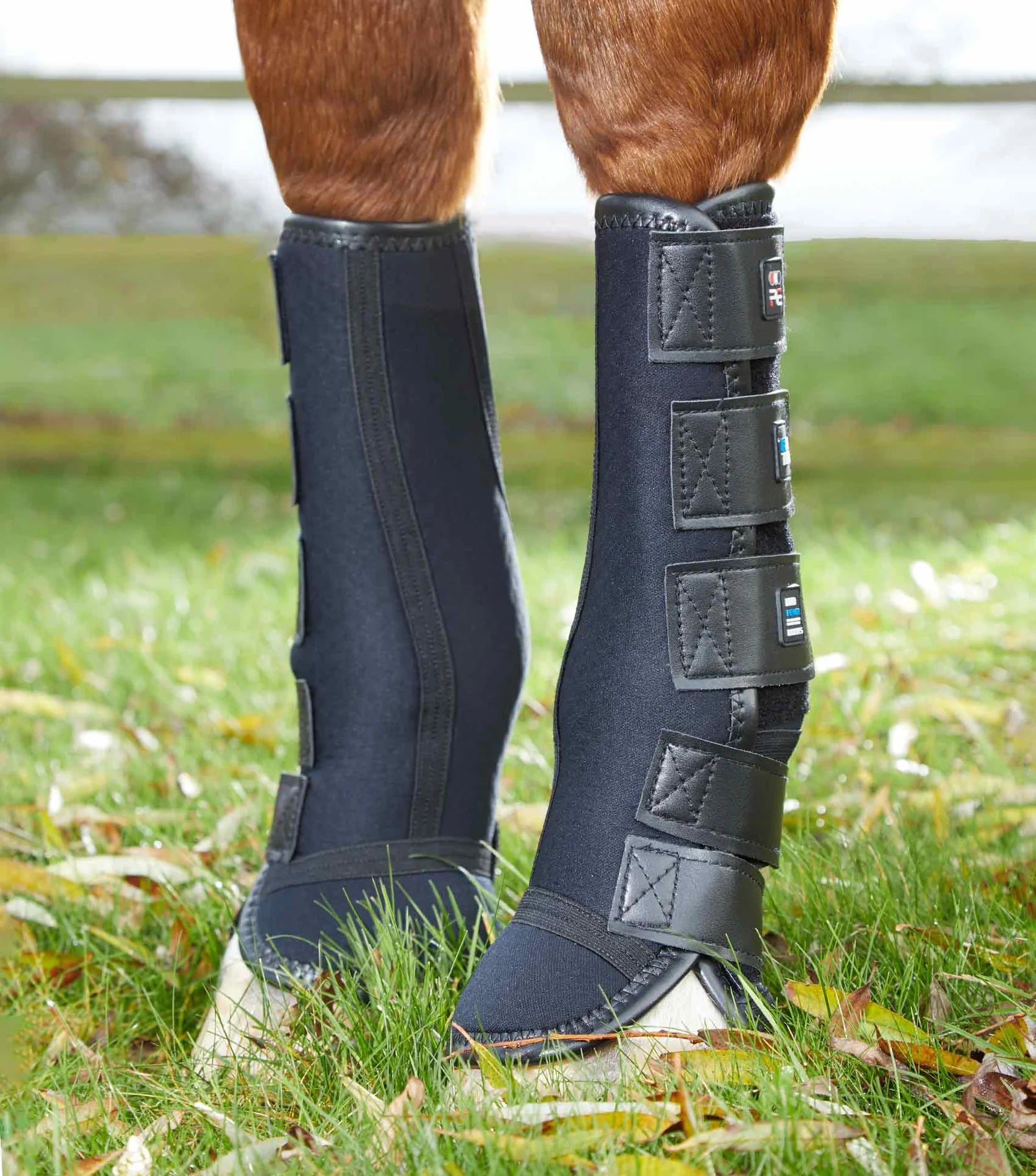 Horse wearing black protective boots on grass