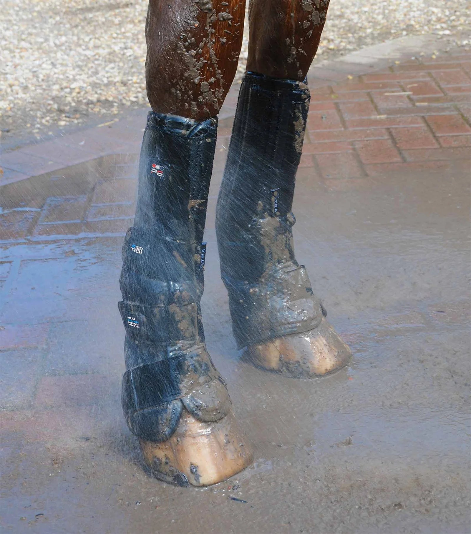 Horse legs with black protective leg wraps on a brick pavement.