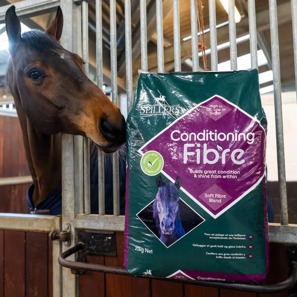 Horse next to a bag of Spillers Conditioning Fibre in a stable.