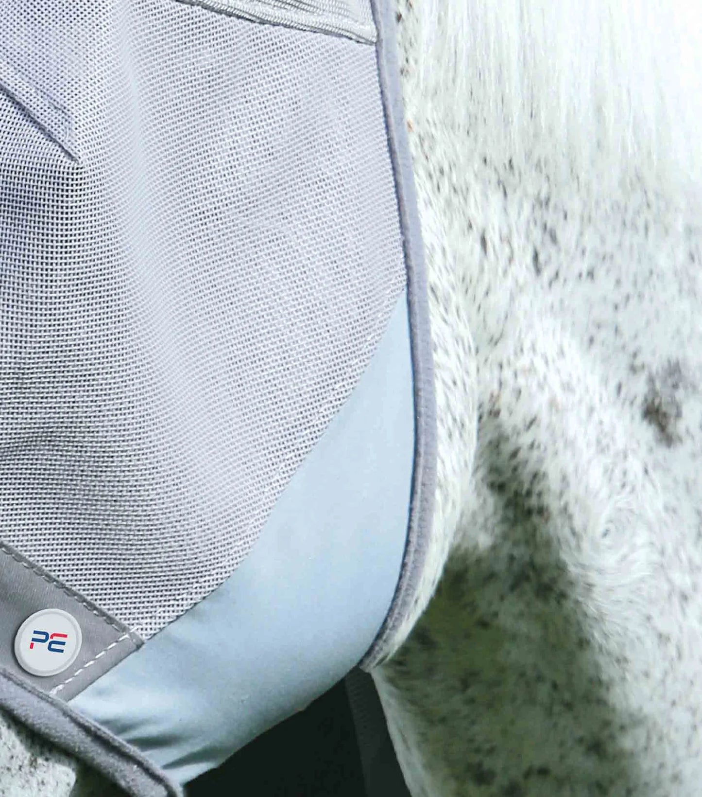 Grey fly mask on grey horse