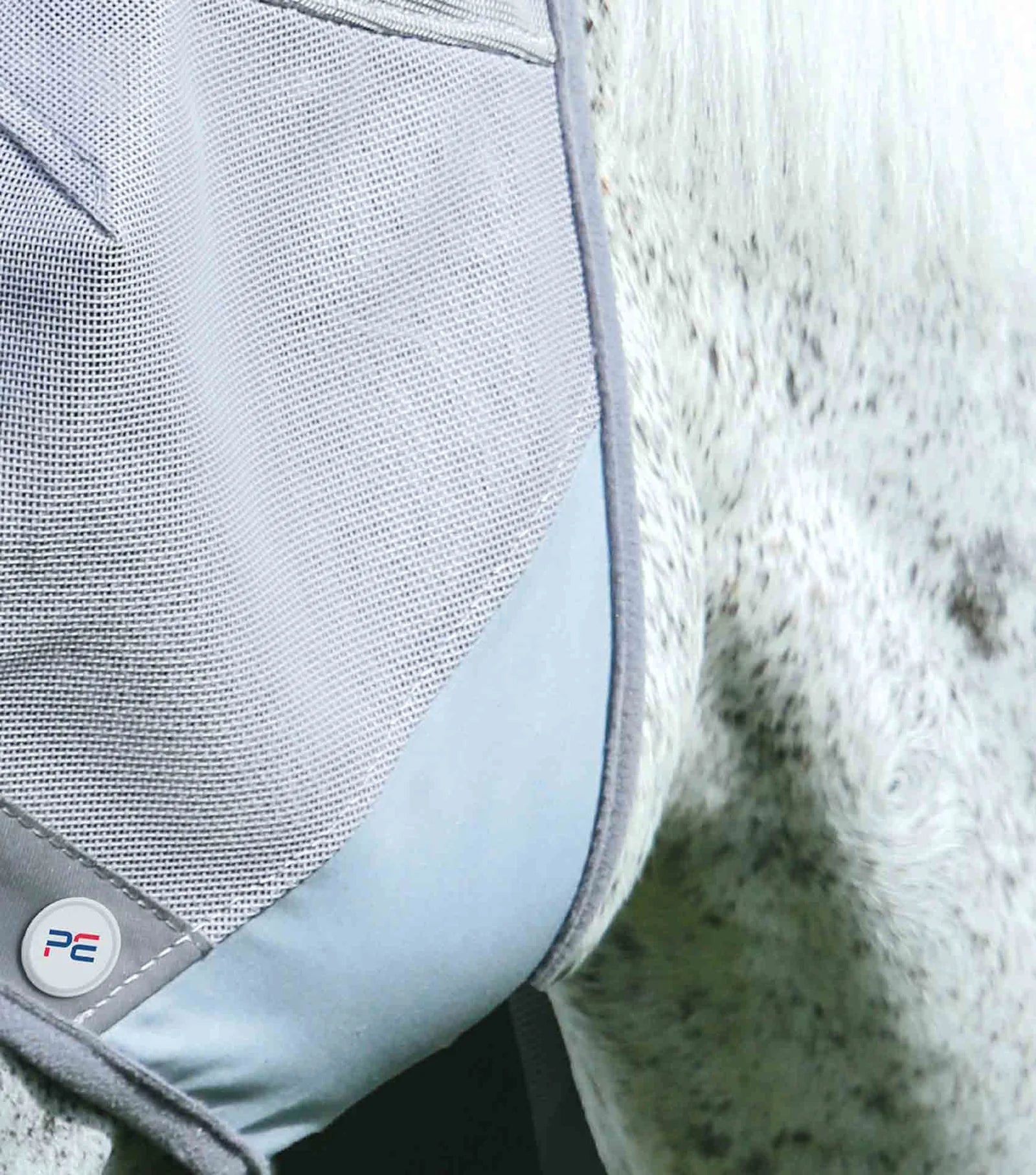 Grey fly mask on grey horse