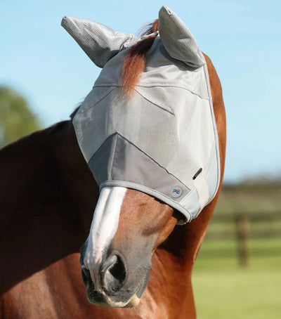 Horse wearing a fly mask with a blurred natural background