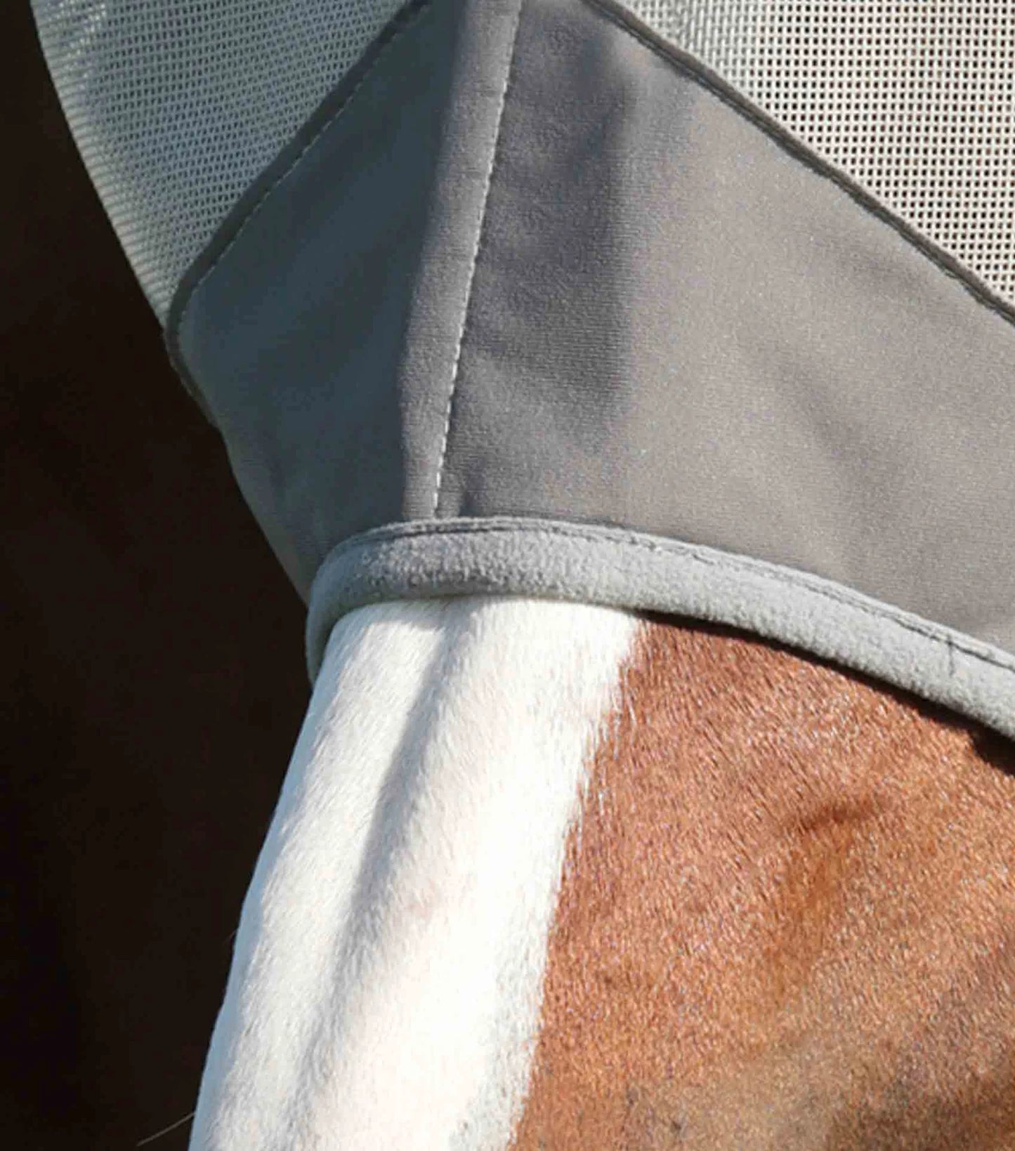 Close-up of a horse wearing a gray fly mask with a dark background