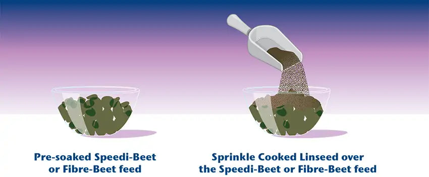 Illustrated instruction showing pre-soaked Speedi-Beet or Fibre-Beet feed in a clear bowl, with a scoop sprinkling cooked linseed over it on a purple gradient background.