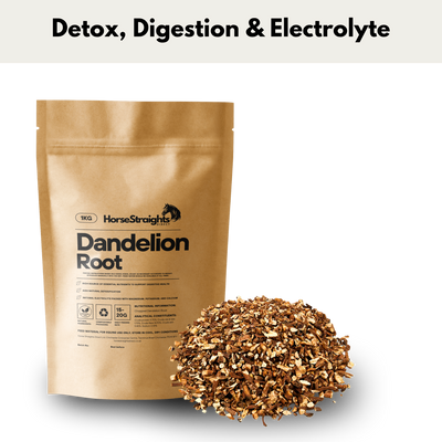 Dandelion Root