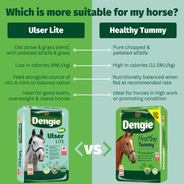 A comparison graphic for Dengie horse feed, showing Ulser Lite on the left and Healthy Tummy on the right. The left side is light green and labeled 'Ulser Lite' with text about oat straw and grass blend, while the right side is dark green and labeled 'Healthy Tummy' with text about pure chopped and pelleted alfalfa.