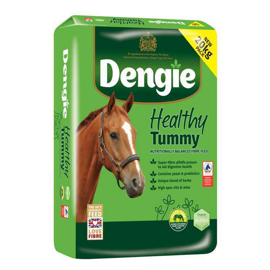 Bag of Dengie Healthy Tummy 