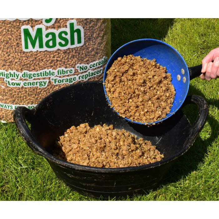 Readymash Soaked in feeding bowl