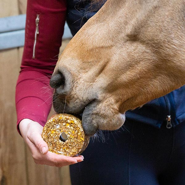 A close-up lifestyle shot of a horse eating aLikit Granola treat held by a person wearing a dark red long-sleeve shirt and navy pants.