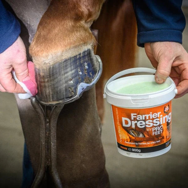 Person applying Farrier Dressing to a horse's hoof with a bucket of dressing in hand.