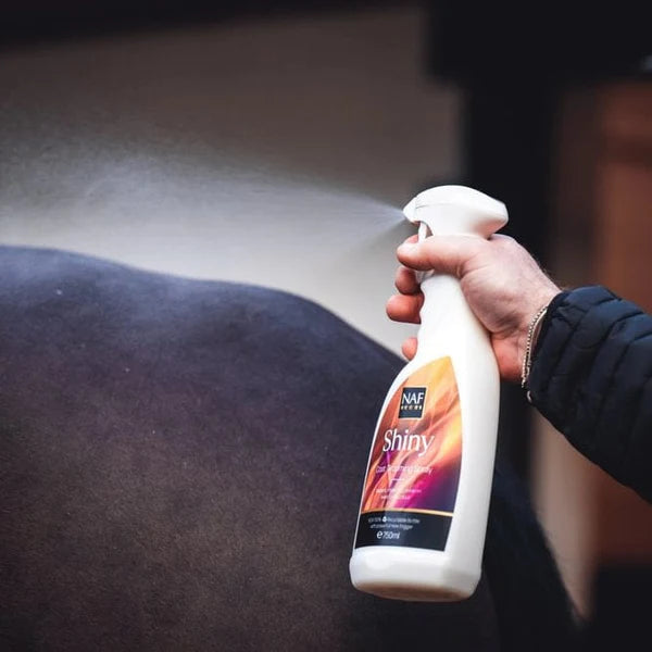 Person using a spray bottle labelled 'Shiny' on a dark horse
