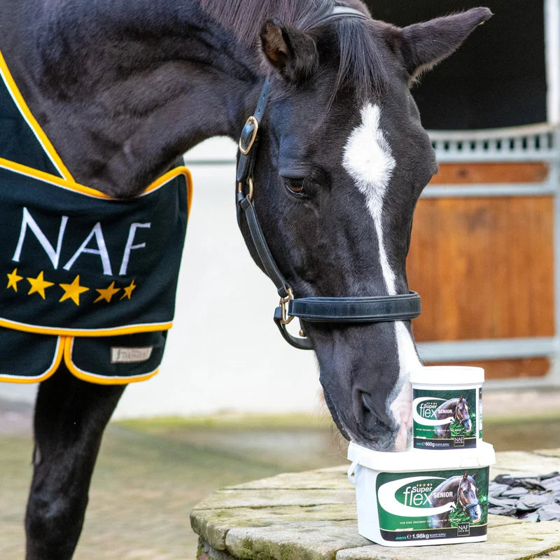 Horse wearing a NAF blanket with Super Flex containers on a stable background
