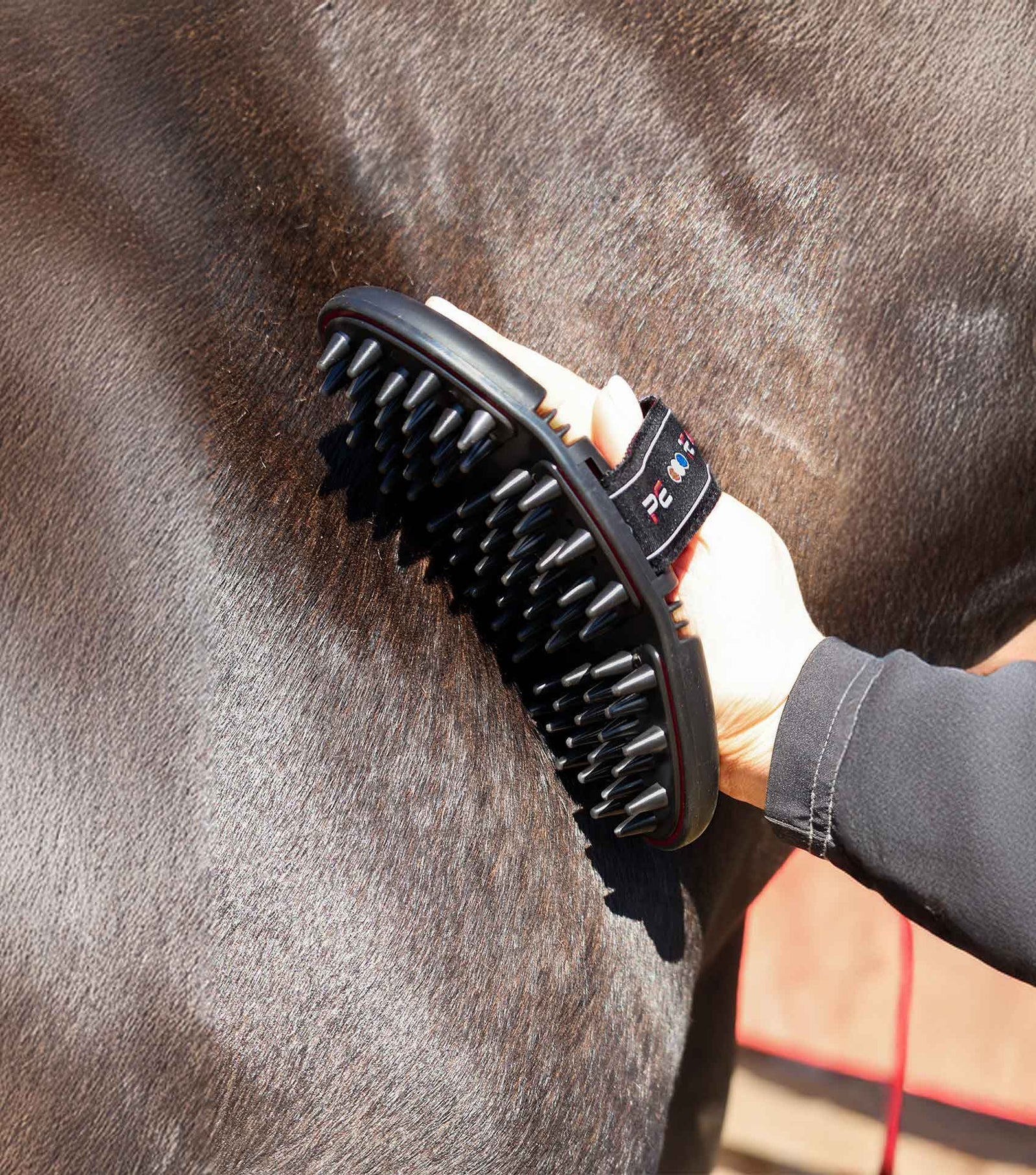 Person grooming a horse with a black brush