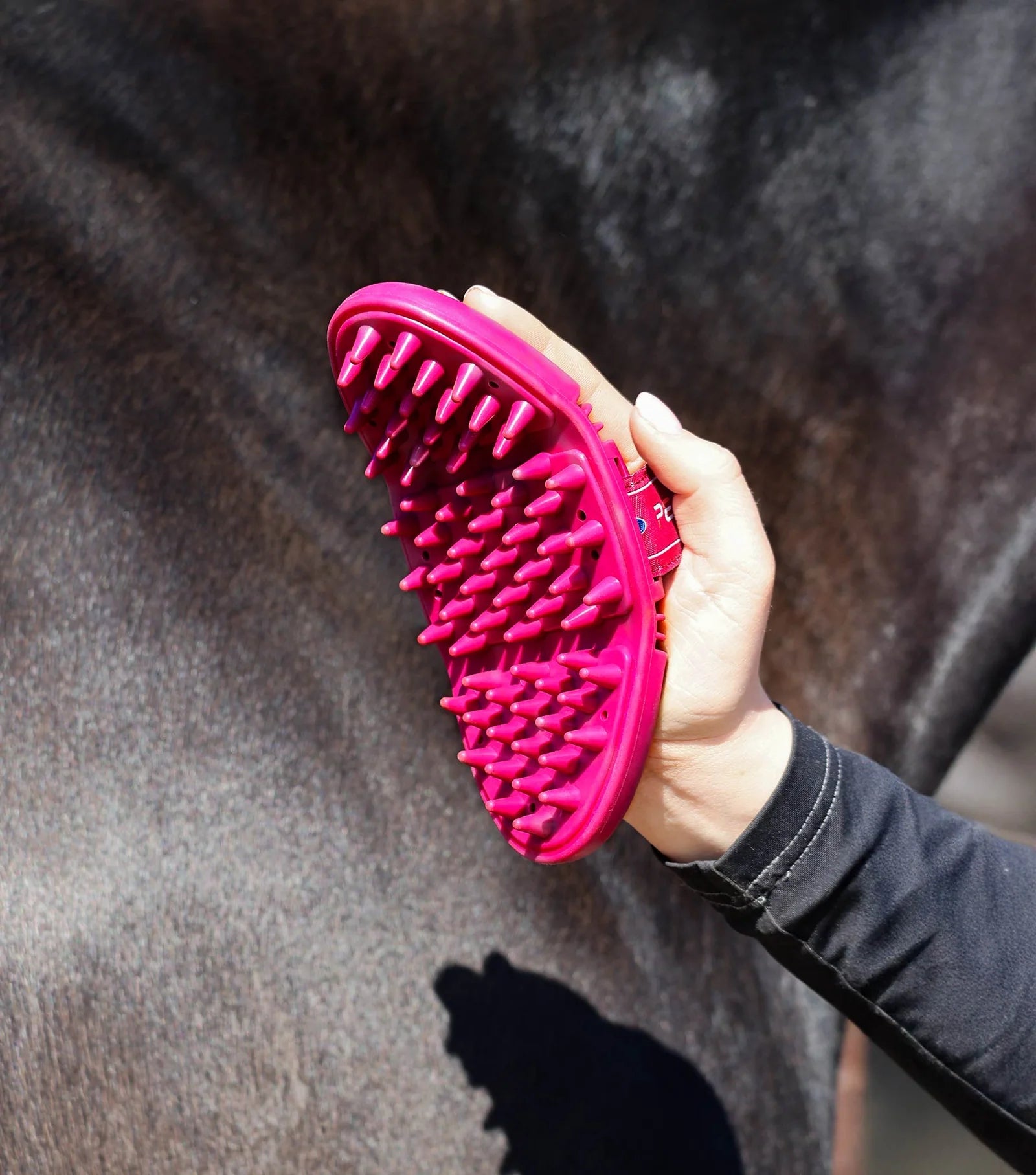 Person holding a pink horse brush against a horse's coat