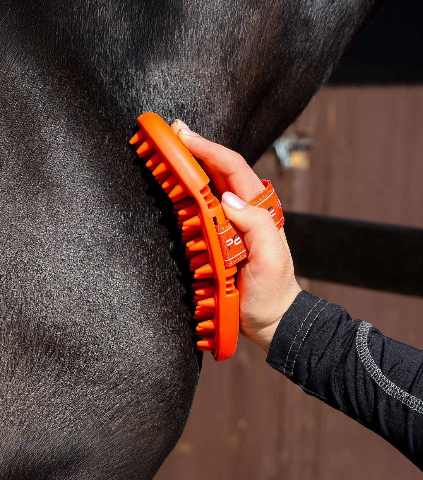 Person grooming a horse with an orange brush, with a blurred background