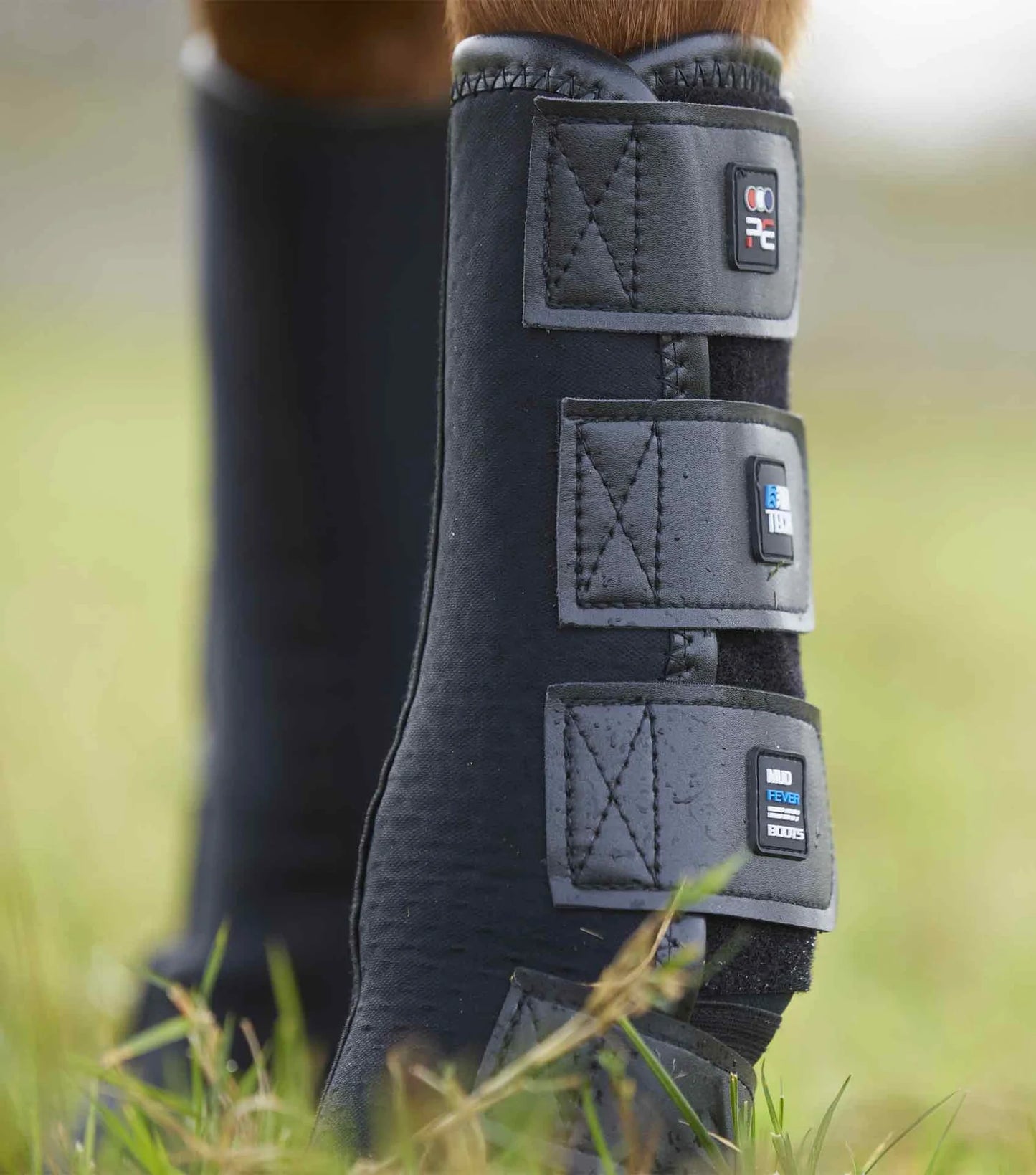Equestrian protective boot with Premier Equine logo on a blurred grass background