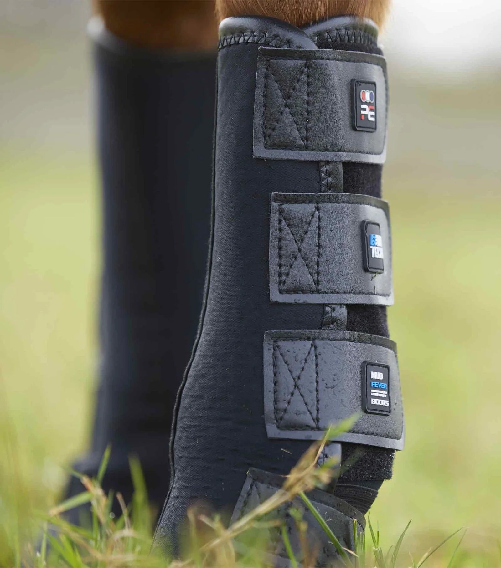Equestrian protective boot with Premier Equine logo on a blurred grass background